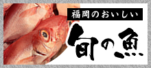 福岡のおいしい旬の魚