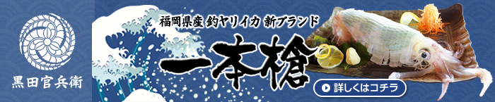 福岡県産釣ヤリイカ 新ブランド